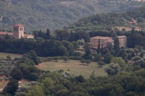 RosiGiancarlo 2 (582).jpg
